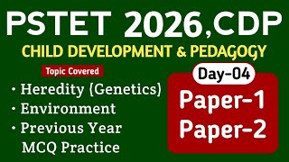 PSTET 2026 | PSTET CDP Preparation | Day-4 |  PAPER-1, PAPER-2 | Study Fighters CDP