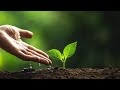 أغنية إزرع شجرة الطالبة شيماء أكرم
