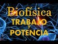 FÍSICA - TRABAJO Y POTENCIA: Joule, watt, HP y Kw.h