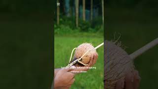 Tembak Menggunakan Kelapa