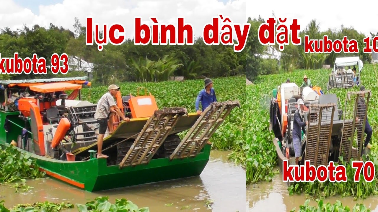 CẢNH MÁY CẮT LÚA CHUYỂN PHÀ GẶP PHẢI CẢNH LỤC BÌNH NHƯ THẾ NÀY