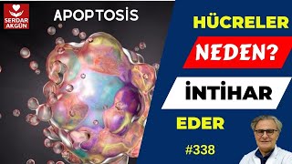 338. Hücreler neden intihar eder! Hücre kendini neden öldürür?  Serdar Akgün, Sağlıklı Yaşam