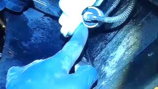 VW B6: Passat windshield washer fluid leak