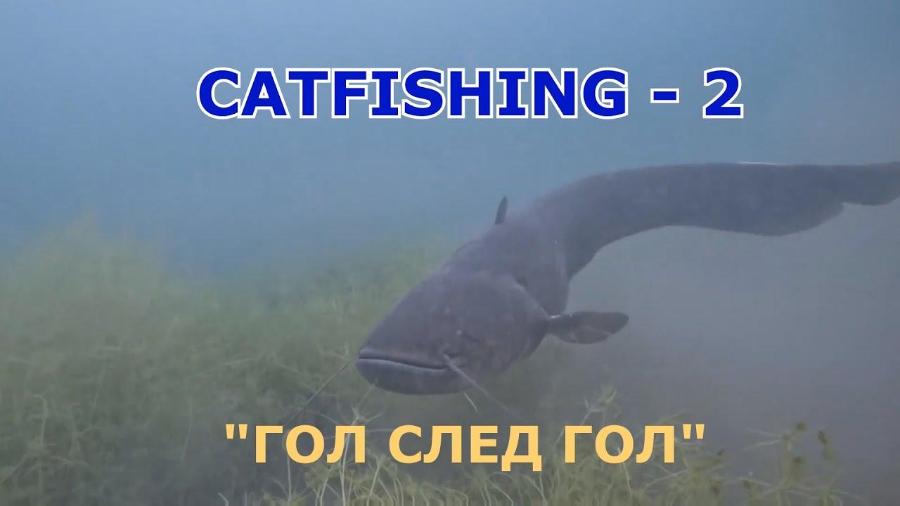 CATFISHING 2  -  2025