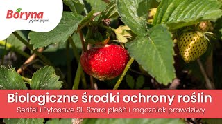 Biologiczne Środki Ochrony Roślin - Serifel I Fytosave Sl. Szara Pleśń I Mączniak Prawdziwy