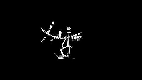 PARTICLE IMAGE REVEAL