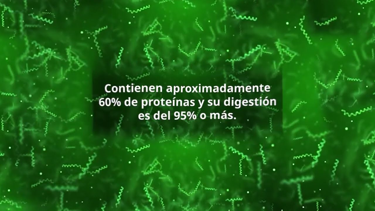 Atomy en Español | Atomy Spirulina