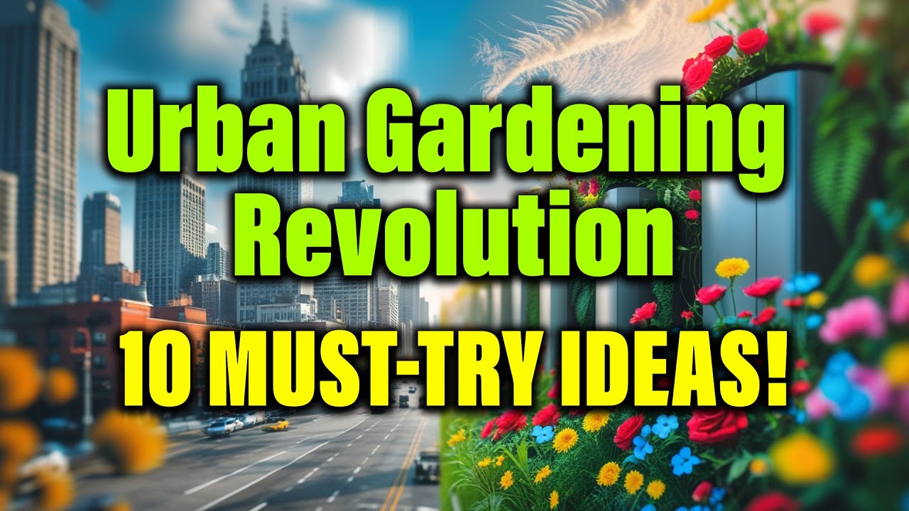 10 Urban Gardening Ideas to Transform Your City Space 🌿 - YouTube
