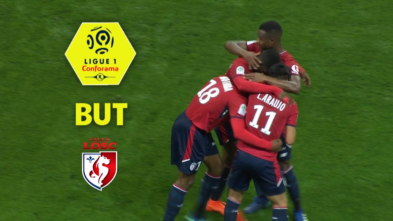 But Lebo MOTHIBA (45' +1) / LOSC - Dijon FCO (2-1)  (LOSC-DFCO)/ 2017-18