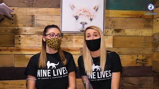 nine lives cat lounge & adoption center joplin missouri