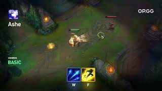 Ashe wf