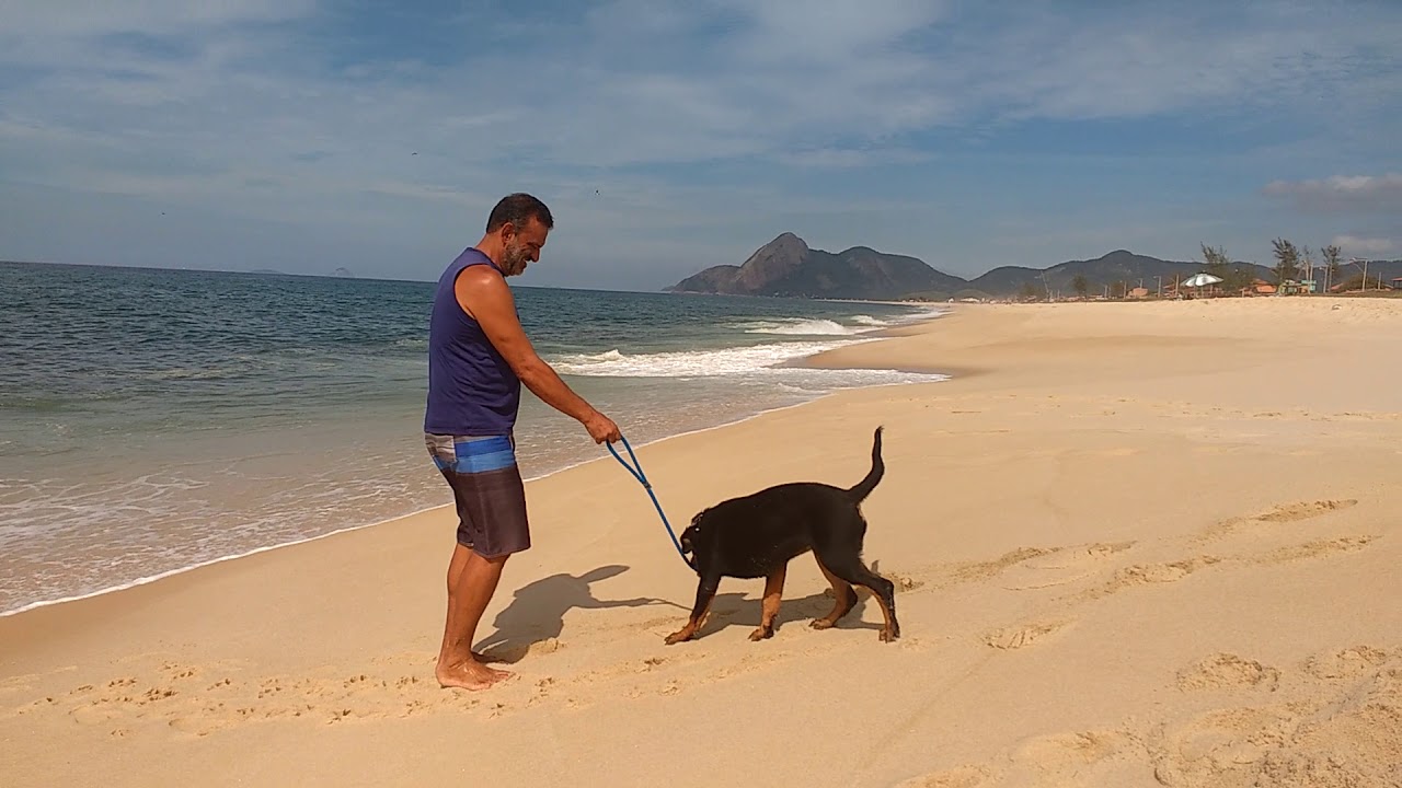 Nina Rott Nina (Rottweiler) recusando a entrar na água - YouTube