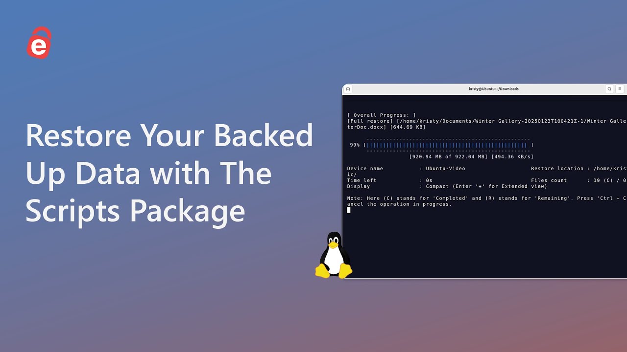 How to Restore Your Backed Up Data with The Scripts Package | IDrive Linux Package