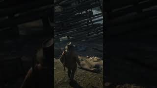 Cheat Code - Location: Lannahechee Shipwreck, east of Annesburg