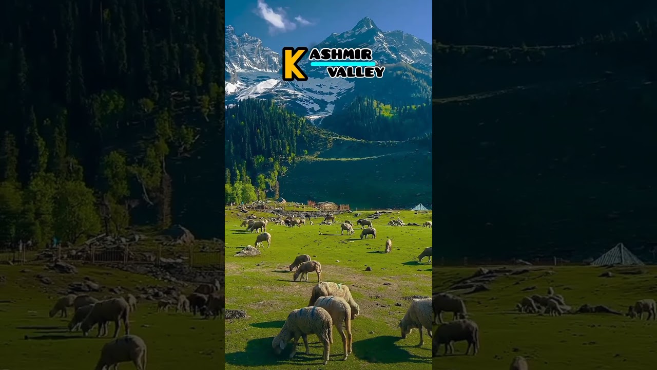 Summer in Kashmir  🏝️🌞 