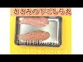 ささみのお掃除編【やってみてね!】