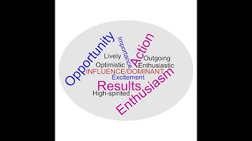 DiSC®  -  Understanding the iD (Influence / Dominant) Style