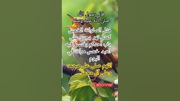 أحاديث نبوية شريفة #أذكار #أدعية #آيات #سنة الله ورسوله صلى الله عليه وسلم