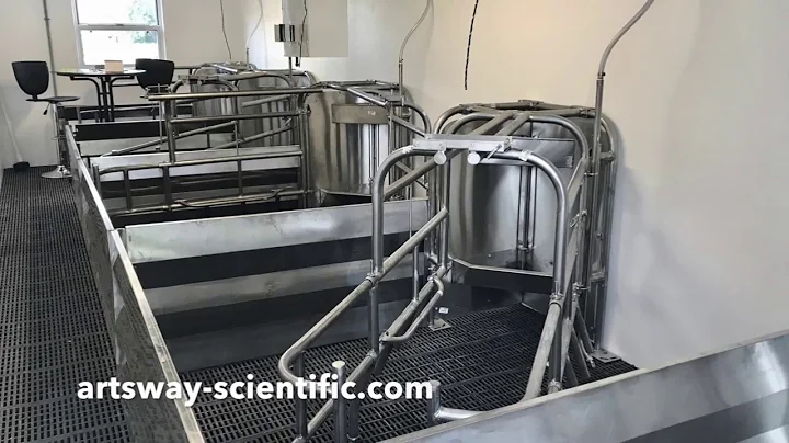 Art's Way Show Piggery