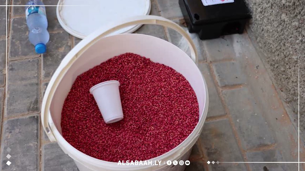 حملة مكافحة الافات والقوارض والحشرات (خاصة حشرة البق)