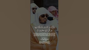 Yasser Al Dosari  Luqman 8-11 || سورة لقمان الشيخ ياسر الدوسري