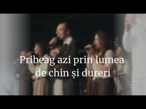 Pribeag azi prin lumea de chin și dureri - Lumina Oradea