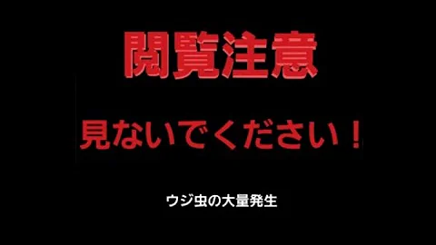 ウジ虫大量発生