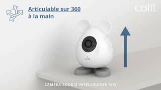 Catit - Caméra-souris intelligente Catit PIXI by Catit en français 1,632 views 1 year ago 52 seconds