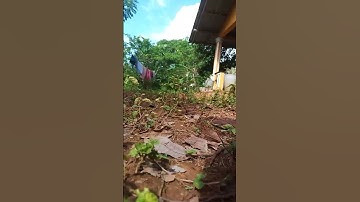 super view new location cameraman super video edit #youtubeshorts #superview #superlocation#krfamily