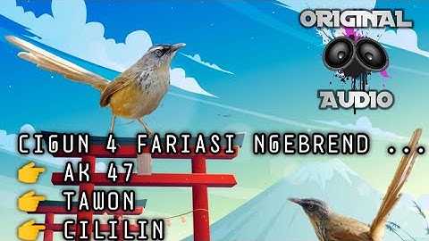 Masteran Ciblek Gunung 4 Variasi Suara NGEBREND ...