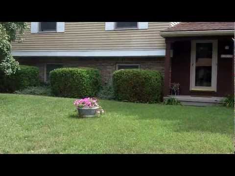 Real Estate, Sylvania, OH, 5012 Inland, Toledo, Li...