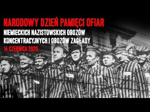 Pierwszy masowy transport Polaków do KL Auschwitz. Dyskusja na Przystanku Historia IPN w Krakowie