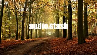 Trancer - Gunnar Olsen (vlog No Copyright)