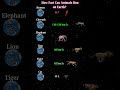 How Fast Can Animals Run on Earth?  #facts #space #planets #planet #animals