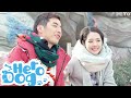 Trailer▶EP 23 -I'm so happy with every minute I spend with you!!! | Hero Dog