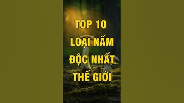 Top 10 loại Nấm độc nhất thế giới