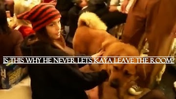 The Hasan Piker Dog Fighting Situation Is Everything Wrong With Dog Ownership In The West