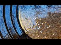 TOP 2 BEST VIDEOS OF GOLD DISCOVERY.!! GOLD MINING, GOLD DIGGER, GOLD PAN