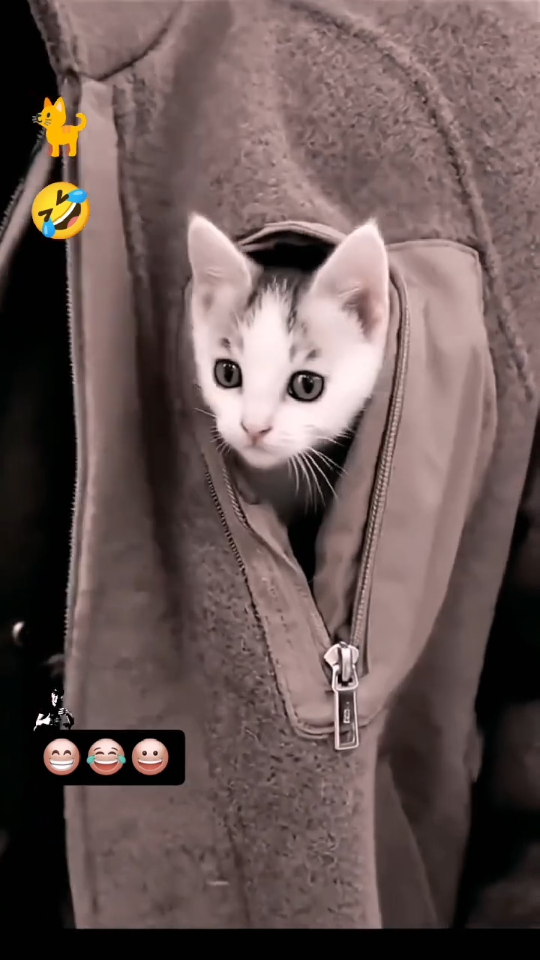 😂ਸ਼ੁੱਧ ਦੇਸੀ ਕਮੇਡੀ🤣 - ShareChat