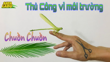 Cách Làm Con Chuồn Chuồn 3/Đồ Chơi An Toàn/Sáng Tạo Từ Lá Dừa