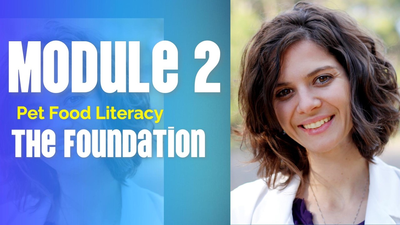 Module 2: The Foundation - YouTube