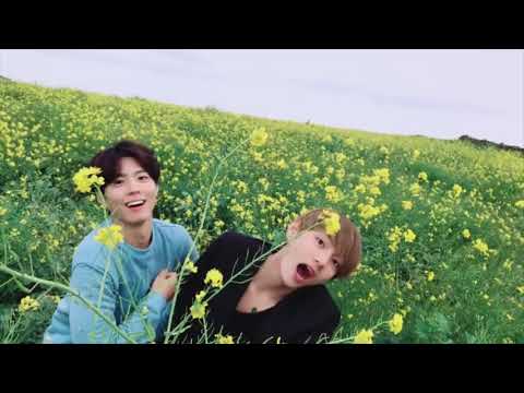 Taekook and Park Bo Gum/ friendship or something more?Богом и Тэхён/дружба, или что-то большее?