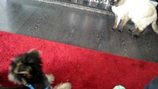 MVI_0848.AVI