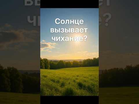 Почему мы чихаем на солнце факт жизнь наука 