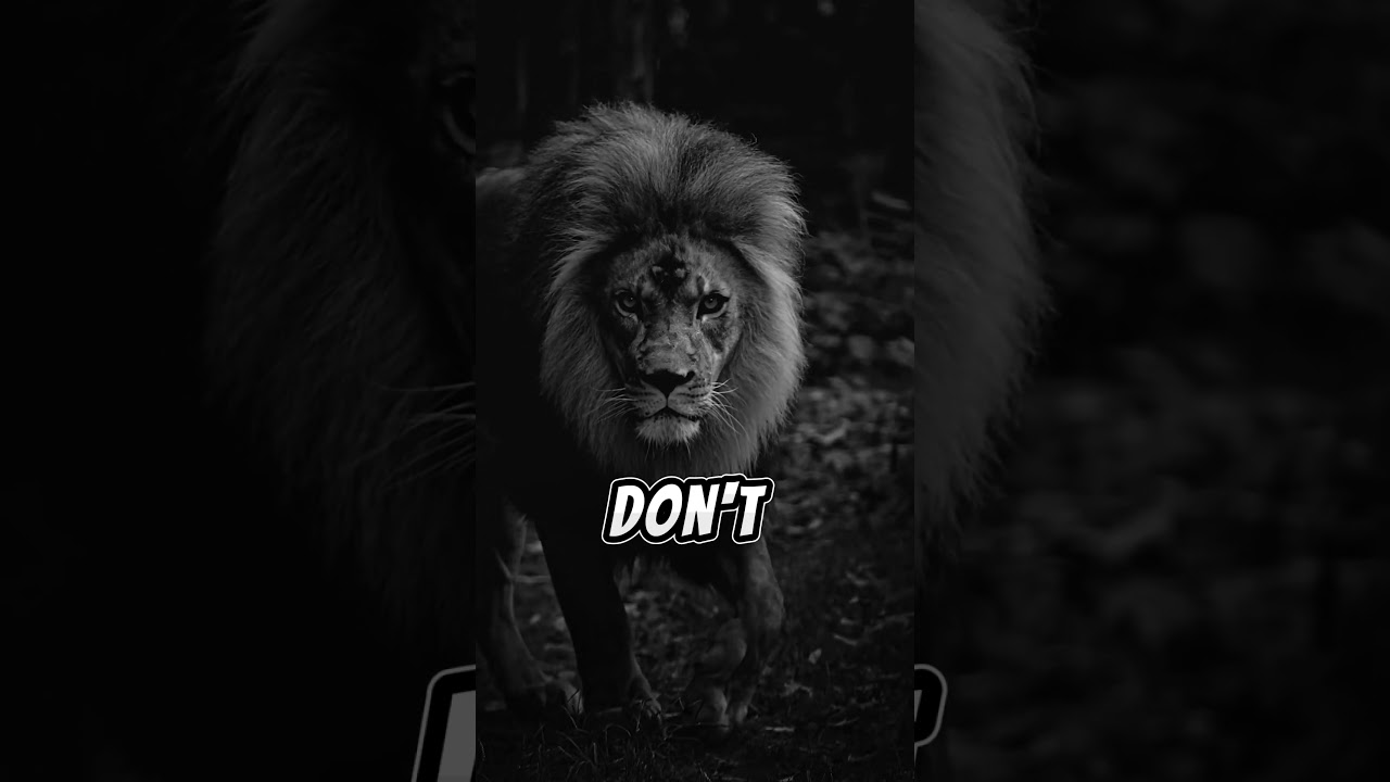 God, don't take revenge. Leave it for me.