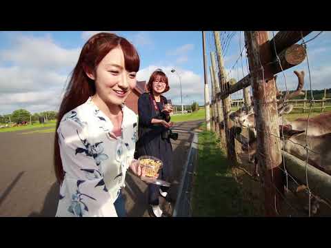 キャーキャー言いながらトナカイにエサやり体験する女子二人！@北海道幌延町 Horonobe reindeer farm, Hokkaido