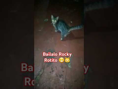 Bàilalo Rocky tatata