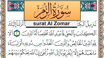 سورة الزمر جمال شاكر عبد الله Surah Al Zomar jamal shaker برواية حفص عن عاصم