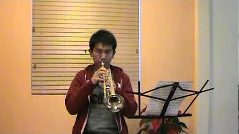 Haoran Wei Trumpet Player