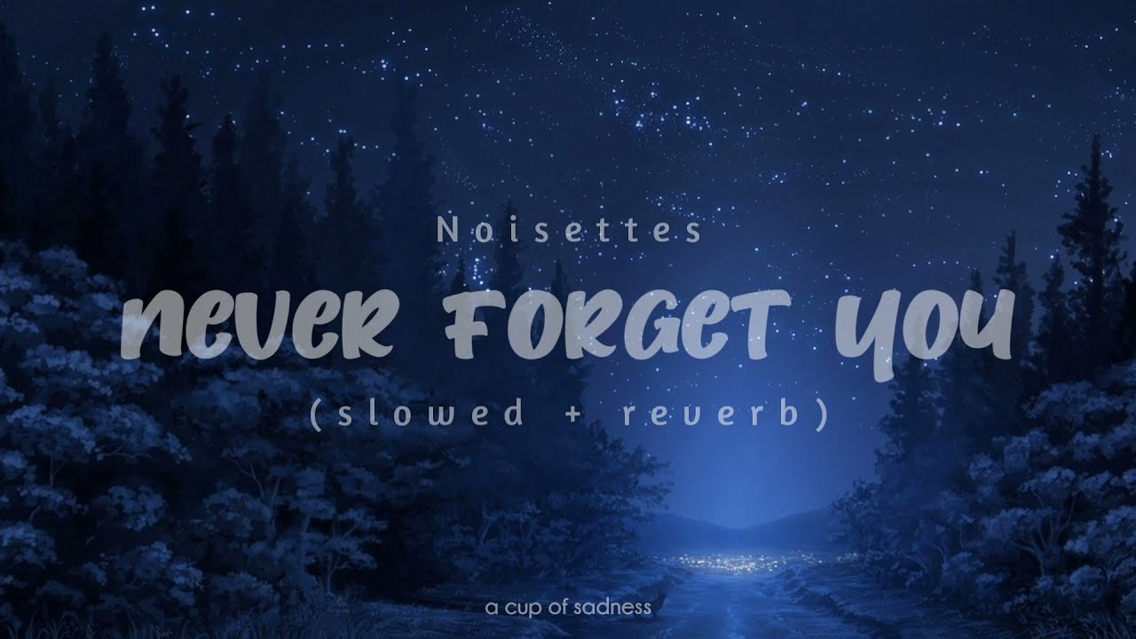 Noisettes   never forget you slowed  reverb lyrics